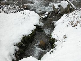 DSCN0016