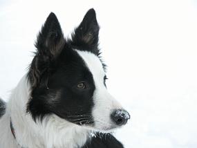 DSCN0033