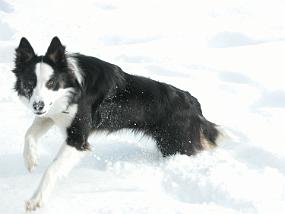 DSCN0034