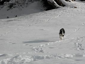 DSCN0046