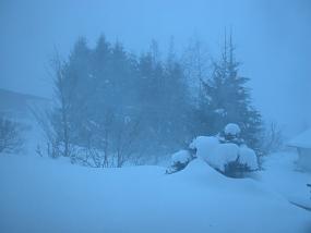 DSCN0071