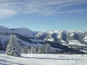 DSCN0099