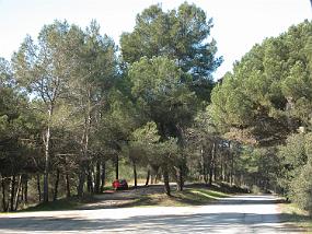 DSCN0004