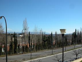 DSCN0033