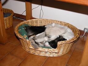 DSCN0044