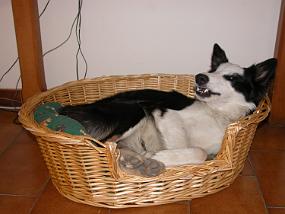 DSCN0045