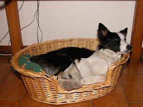 DSCN0048
