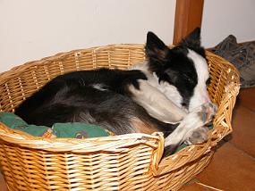 DSCN0052