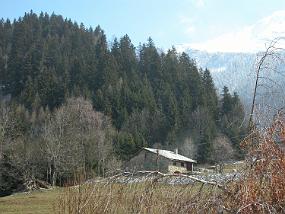 DSCN0083