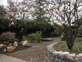 DSCN0010