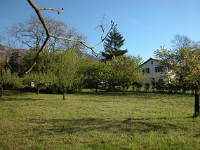 DSCN0033