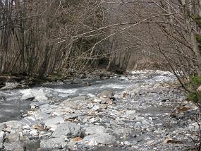 DSCN0049