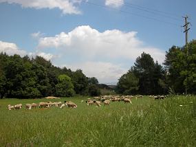 DSCN0021