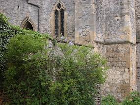 DSCN0037