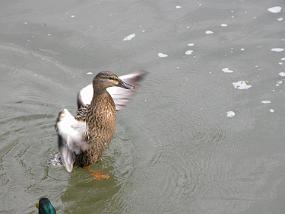DSCN0042