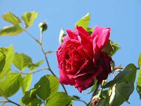 DSCN0059