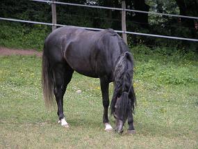 DSCN0036