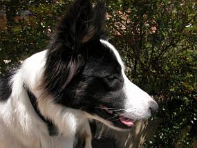 DSCN0056