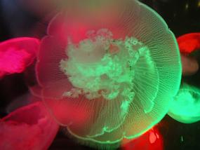 DSCN0042