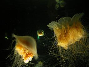 DSCN0045