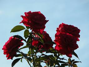 DSCN0047