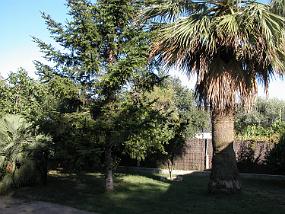 DSCN0003