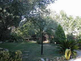 DSCN0004