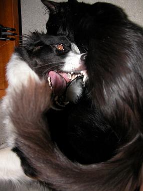 DSCN0047
