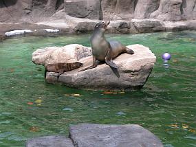 DSCN0036
