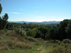 DSCN0005
