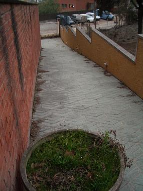 IMGP0418