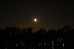 DSC_0039 Vollmond