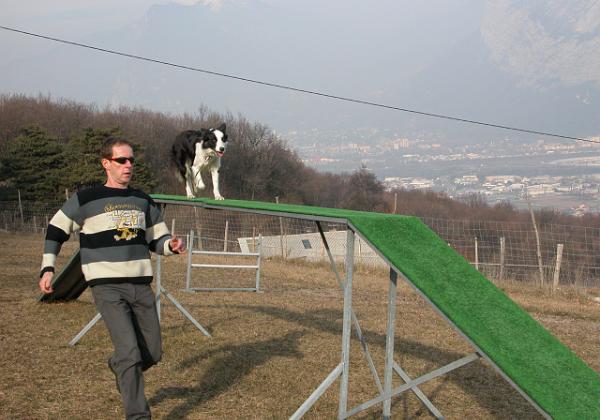 Utopie in Agility training (Saturday, 14. February 2004) Utopie in her lession number 9. She s doing pretty well. First time without leash.