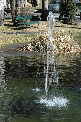 DSC_0074
