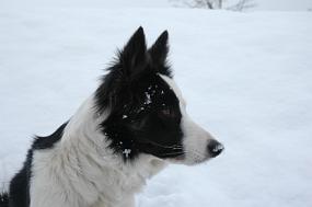 DSC_0020