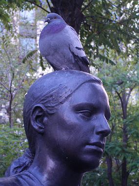 IMGP2322