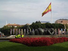 IMGP2387