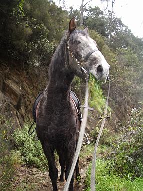 IMGP2554