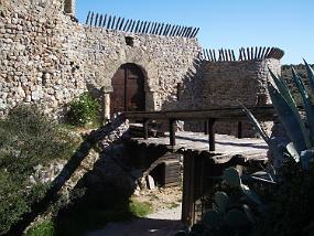 IMGP2835
