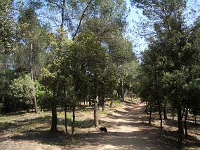 IMGP2933