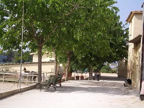 IMGP2973