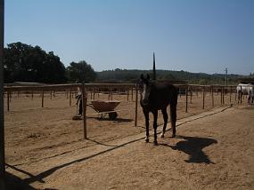 IMGP3189