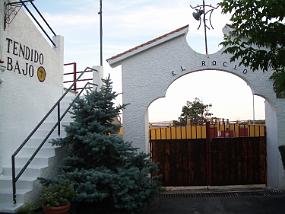 IMGP3494