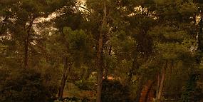 pano1