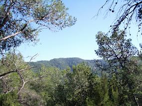 IMGP3774