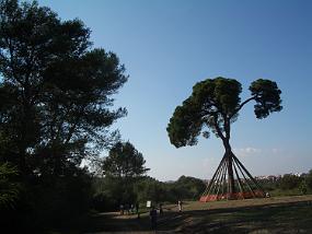 IMGP3804