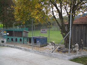 IMGP4128 Platz für die 16 Hunde
