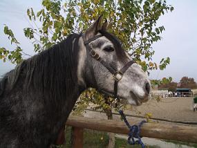 IMGP4319