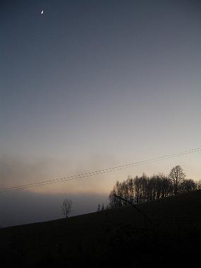IMGP4449