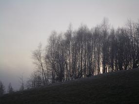 IMGP4450